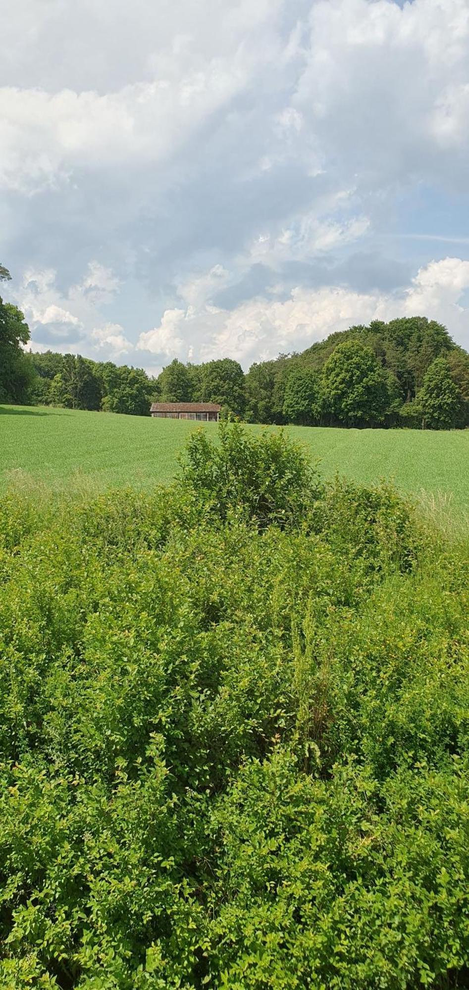 Gasthaus Zum Schneider Pottenstein Εξωτερικό φωτογραφία